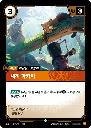 새끼 파카아